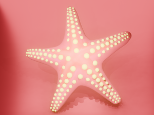 Starfish different colors Modèle 3D