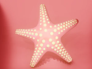 Starfish different colors 3D Model