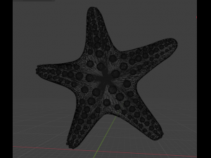 Starfish different colors Modèle 3D