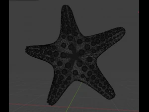 Starfish different colors 3D Model