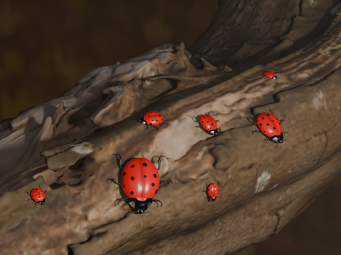 San antonio insect Model 3D