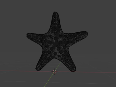 Starfish kwai 3D Model