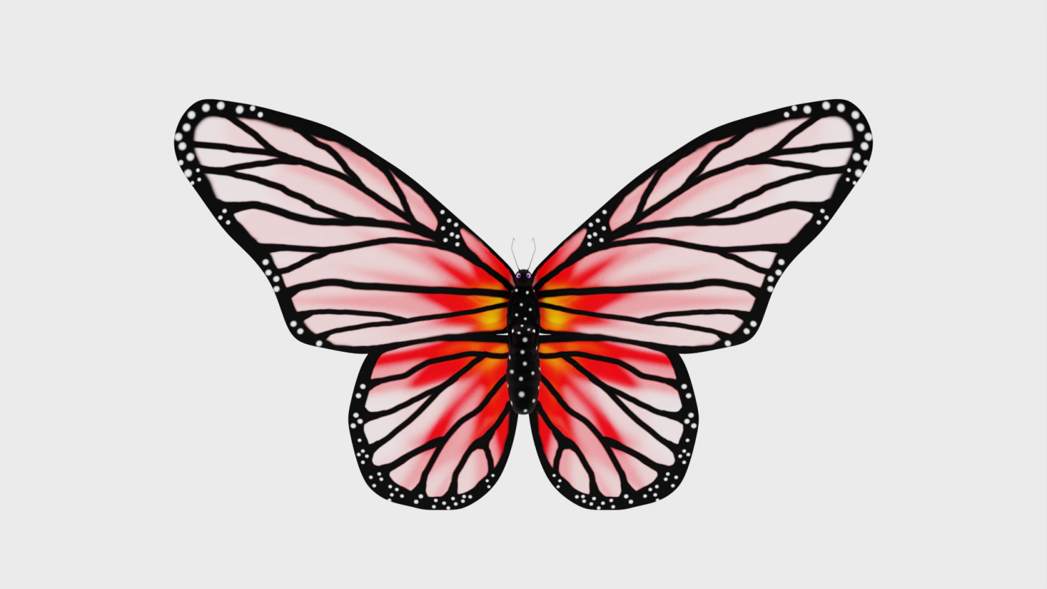 Animated Butterfly 3D Model .c4d .max .obj .3ds .fbx .stl .blend