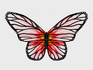 Animated Butterfly 3Dモデル