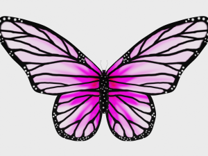 Animated Butterfly 3D Модель