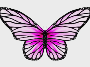 Animated Butterfly 3D Model