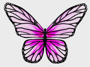 Animated Butterfly 3D Модель