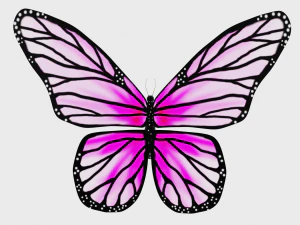 Animated Butterfly 3D Model