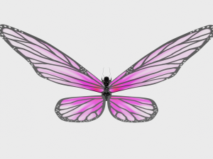 Animated Butterfly 3D Модель