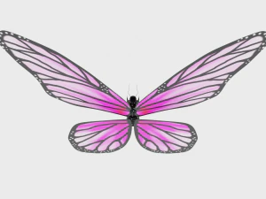 Animated Butterfly 3D Model