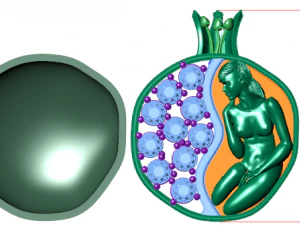 pomegranate pendant 3D Model