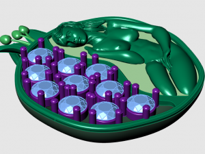 pomegranate pendant 3D Model