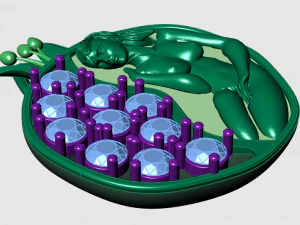 pomegranate pendant 3D Model