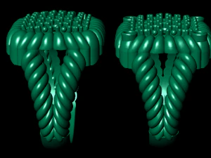 women ring 3D Model