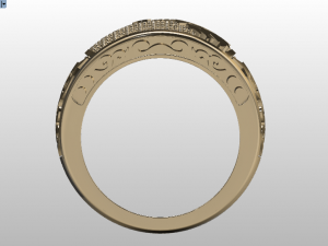 eagle ring Modelo 3D