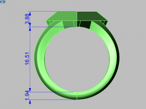 pyramid ring 3Dモデル
