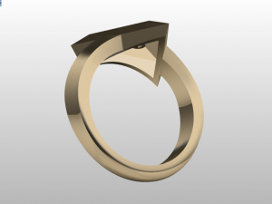 pyramid ring 3Dモデル
