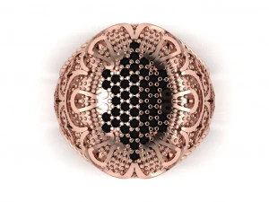 anello con sigillo Modello 3D