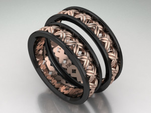 ring set 2 3D Модель