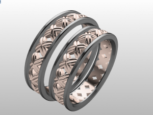 ring set 2 3D Модель