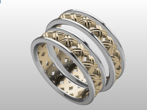 ring set 2 3D Модель
