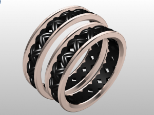 ring set 2 3D Модель