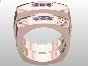 ring set 9 3D Model