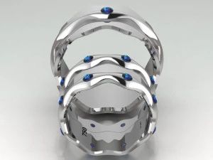 ring set 8 3D Model
