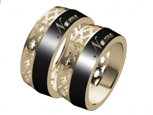 ring set 17 Model 3D