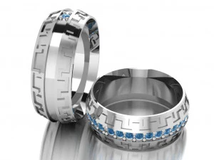 ring set 19 3D Model