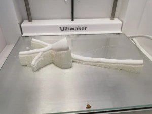 Аорта 3D Модель