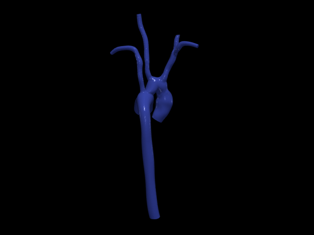 Aorta 3D 모델 .c4d .max .obj .3ds .fbx .stl .blend 