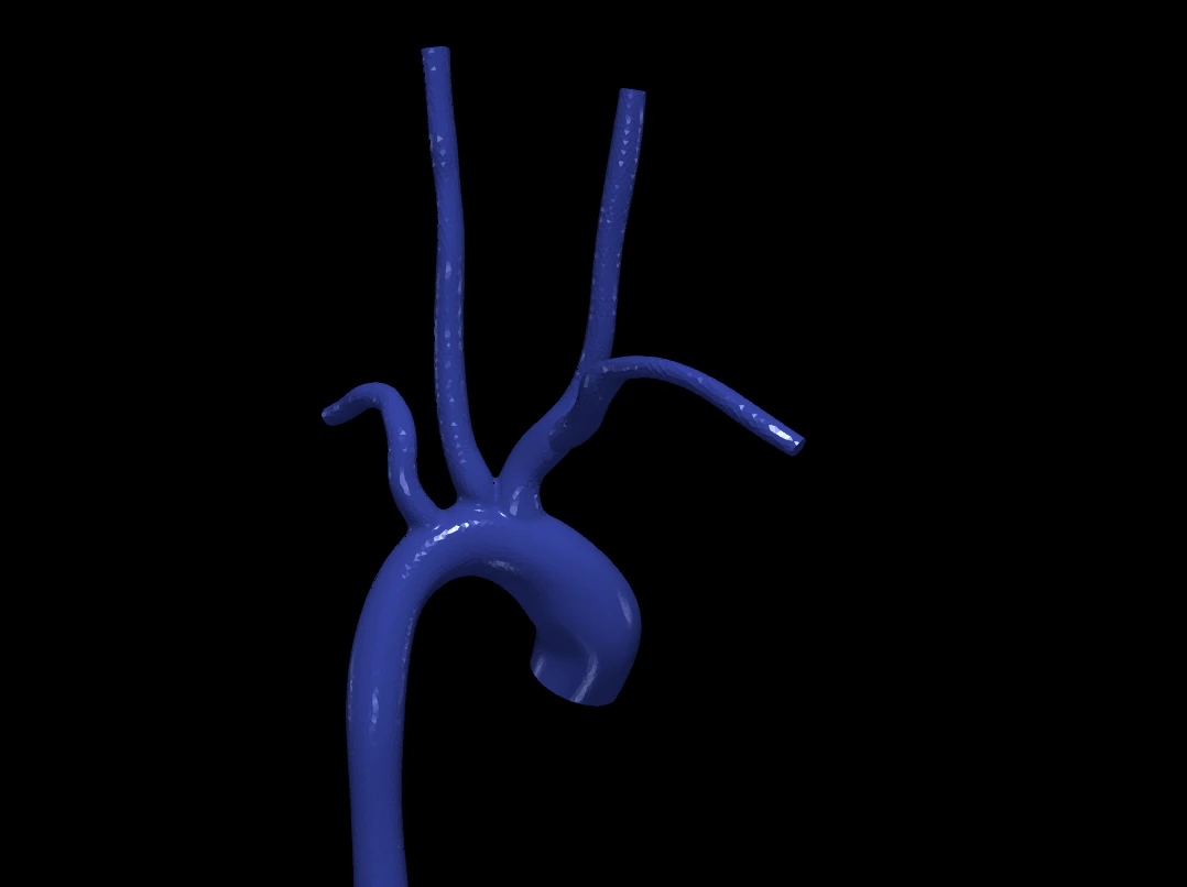 Aorta Modelo 3D .c4d .max .obj .3ds .fbx .stl .blend 