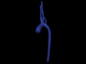 Aorta Modelo 3D
