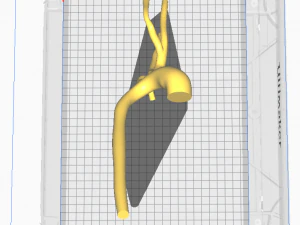 Aorta Modelo 3D