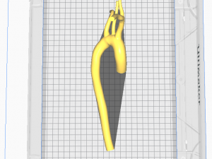 Aorta 3D 모델