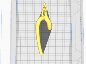 Aorta 3D 모델