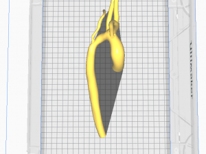 Aorta 3D-Modell