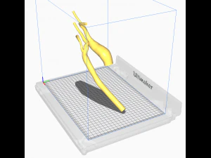 Aorte Modèle 3D