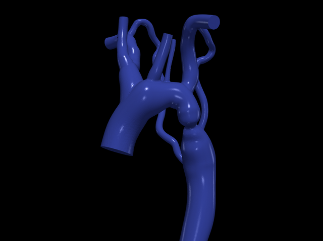 Aorta Modèle 3D .c4d .max .obj .3ds .fbx .stl .blend 
