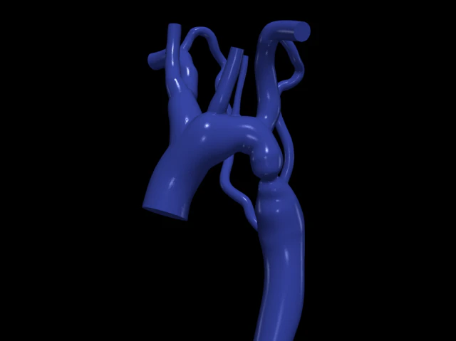 Aorta 3D Model .c4d .max .obj .3ds .fbx .stl .blend 