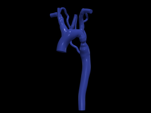 Aorta Modèle 3D