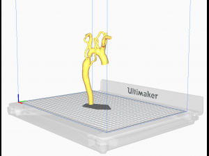 Aorta Modèle 3D
