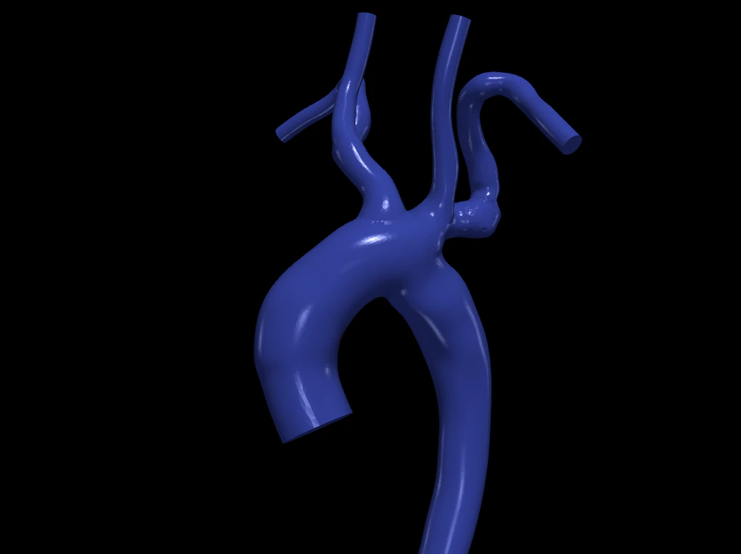 Aorta 3D Model .c4d .max .obj .3ds .fbx .stl .blend