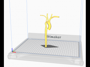 Aorta Model 3D