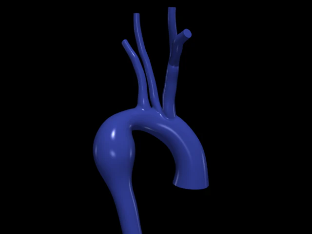 aorta Model 3D .c4d .max .obj .3ds .fbx .stl .blend 