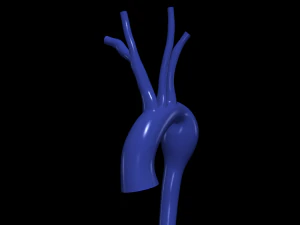 aorta Model 3D