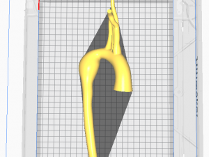 Aorta 3D Modell