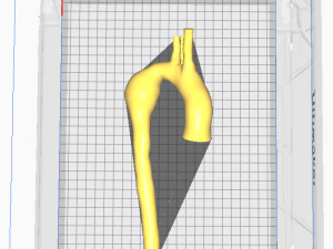 Аорта 3D Модель