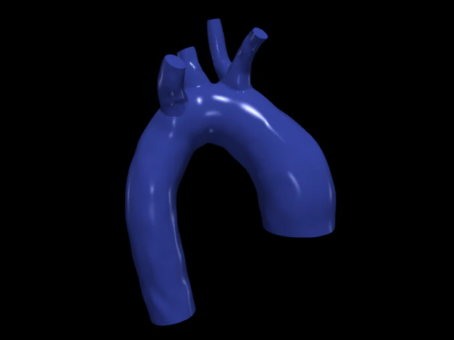 aorta Model 3D .c4d .max .obj .3ds .fbx .stl .blend 